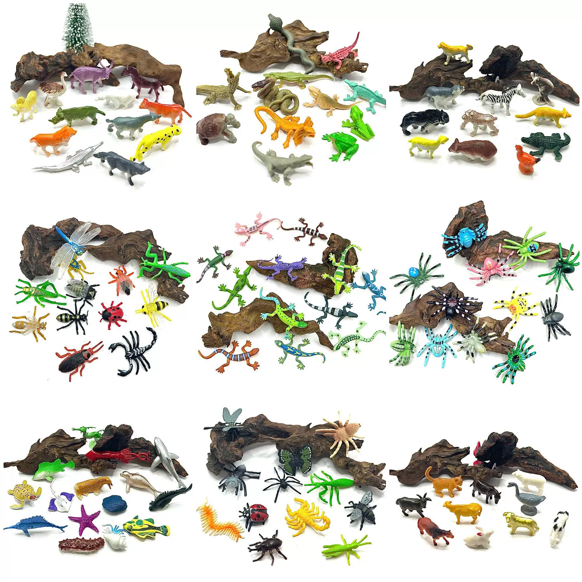 跨境动物套装 仿真野生动物家禽蜘蛛昆虫蜥蜴爬虫早教科教玩具PVC