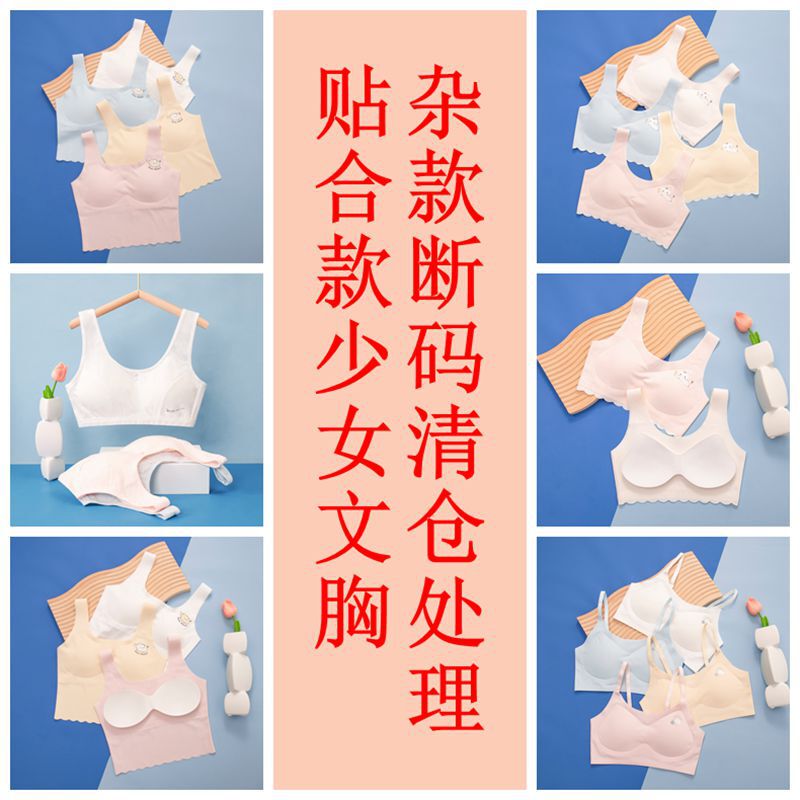 Broken Size Clearance Fit Girls' Underwear Junior High School Students Anti-bump Bra Lightweight Traceless Girls' Vest Handling