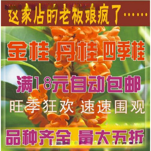 �𻨘�������𵤹����ļ����Ԫ��ɰ�tѪ����¹��y��С��