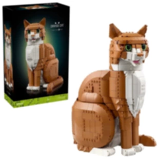 Конструктор «Рыжий кот» 21376