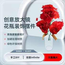 棱镜、透镜;放大镜