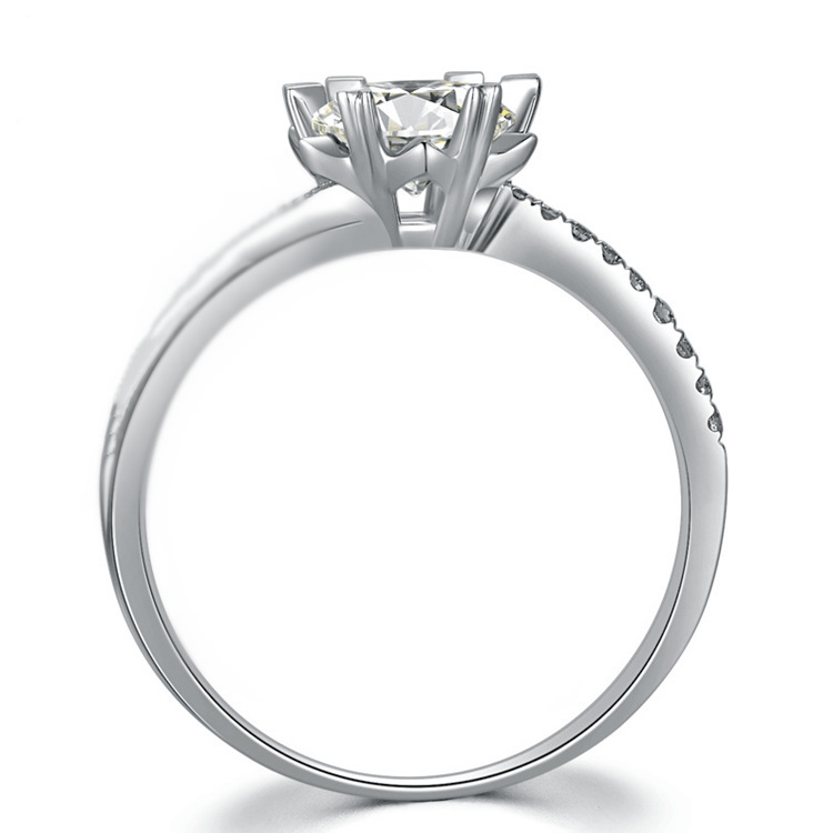 20851915933_228568531