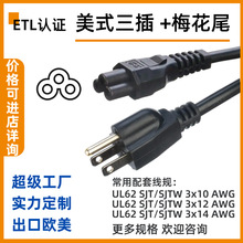 ETL認證跨境美國SJTW 12AWG NEMA5-15插頭C5梅花尾電源線三芯