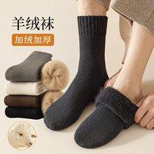 ��ë�m���п�Ӻ�ë�q���������ﶬ��ů��Ͳ�m�T���m�I���m���l