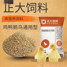 小鸡饲料正大鸭鹅鹦鹉八哥钓鱼颗粒开口食料高蛋白批发价一件批发