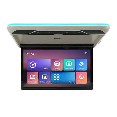 Ceiling Monitor, Car display - gray-232g