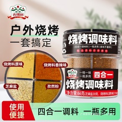 吉得利烧烤调料组合套装四合一户外野炊孜然辣椒粉撒料烤肉蘸料