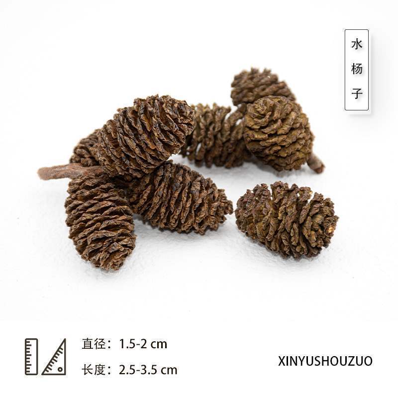 ドライフルーツ 松ぼっくりの種子標本 植物の実 手作りドライフラワー素材 猫の豊かな環境 幼稚園 自然|undefined
