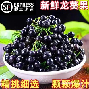 ���r������250g�˖|��Ұ���Ѻ���������ƺ����Ϻ����Ǹ߶�ˮ��