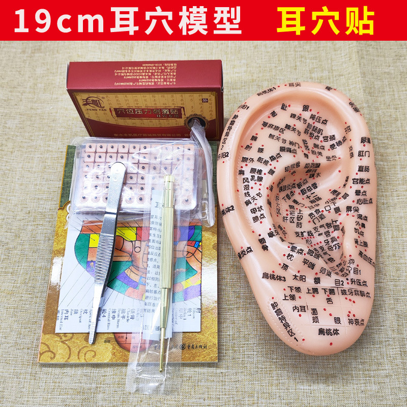 19cm Multi-Acupoint Ear Acupoint Model Ear Massage Ear Patch Ear Acupoint Probe Ear Book Tweezers Ear Acupuncture 19cm Multi-Acupoint Ear Acupoint Model Ear Massage Ear Patch Ear Acupoint Probe Ear Book Tweezers Ear Acupuncture
