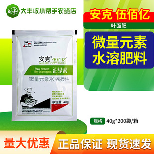 �;G�� �~��� �S�~׃�G�˷��~�ߴ��M�ڷ۾G�~���h Ӣ������40��