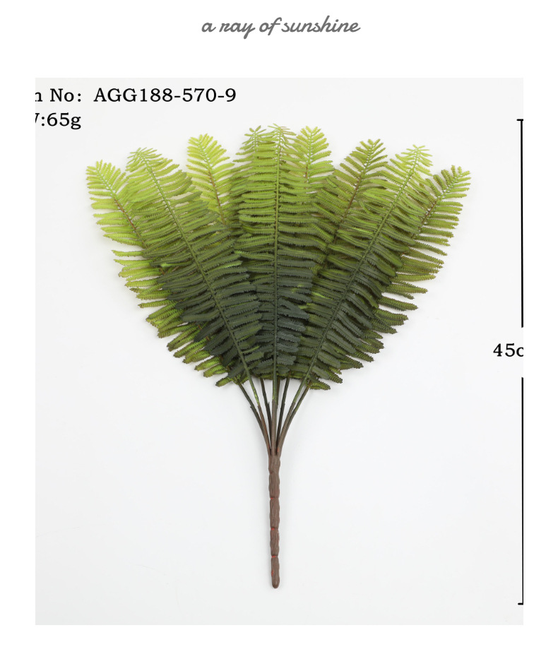 模特展示3 (6).jpg