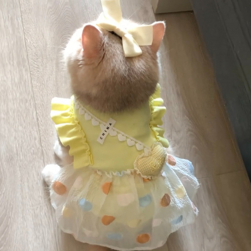 奶黄爱心泡泡公主裙宠物服饰秋冬时尚可爱猫咪防晒冰丝衣服可牵引