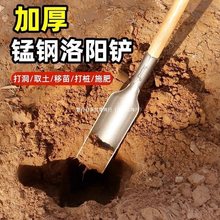 洛阳铲正宗挖土农用打洞取土挖洞挖坑神器种树栽树打孔器打眼工具