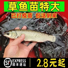 ���|����~�����~�绨���~�����~�ݽz���~�a�~���~����w�~����]