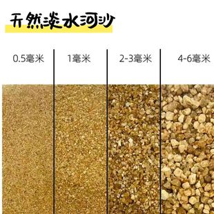 �~���쾰ɳ��Ȼ��ɳˮ�ݷNֲˮϴ��ɲ����������挍���ɰ