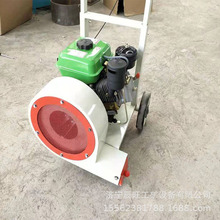 手推式马路吹风机清渣除尘大棚马路用的吹风机路面机械吹风机