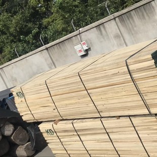 �S��t�𣬰��𣬰�Ϟ���ں��ң���ľ��������ң���ľ��ľ��