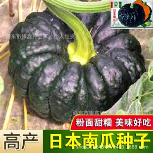 �ձ���Ƥ�ϹϷN���＾����������ζ�Ϲϲ˷N�����r�������߲˷N��