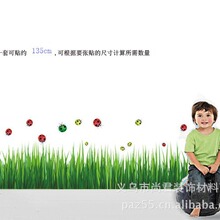 AY768B ������� ���_�������� ���Ơ��N PVC͸��Ĥ