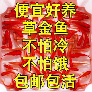�ݽ��~�^�p�~�ͻ���B��ˮ�~��ˮ����~С���^�p�~���wС���~���~
