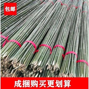 2025 New Garden Bamboo Pole Fence Vegetable and Fruit Frame Thin Bamboo Fence Fence Bamboo Pole Frame Small Bamboo