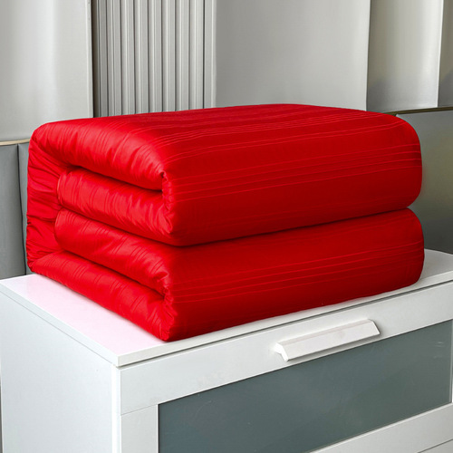 Wedding Silk Quilt 100% Mulberry Silk Winter Quilt with Thick Padding Warm Cover Comforter Core Red Happy Quilt Dual-Personal Wedding Dowry
