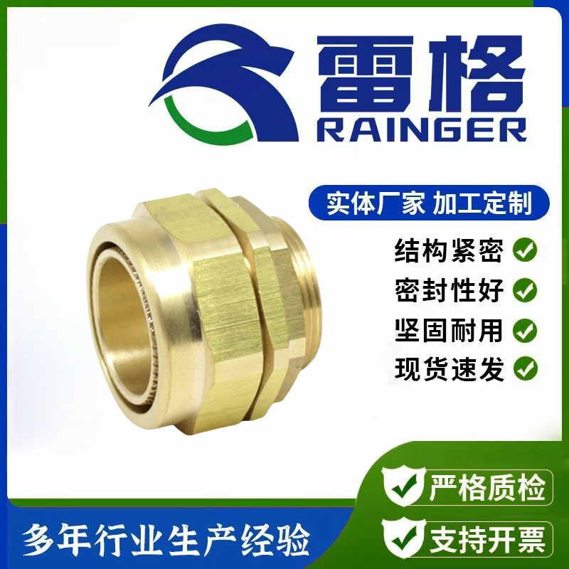 厂家批发铠装电缆接头耐高温格兰头BW线缆格兰头防爆填料函固定头