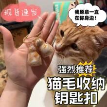 �F؛͸��؈ë��Ű������С؈�o��Ť�������ռ���ë�l�z��耳׿�