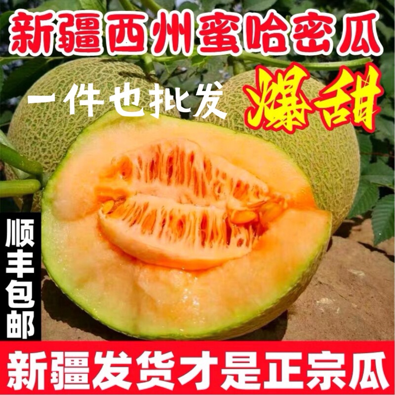 Authentic Xinjiang Turpan Hami Melon Xizhou Honey No. 25 4kg Netted Melon Sweet Melon Freshly Picked and Shipped Directly from Xinjiang