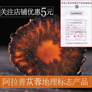 ���ɹŰ�������ɐ��Ұ��������Ƭ100���ݲ��B�����aܛ��ܿ��ɐ��