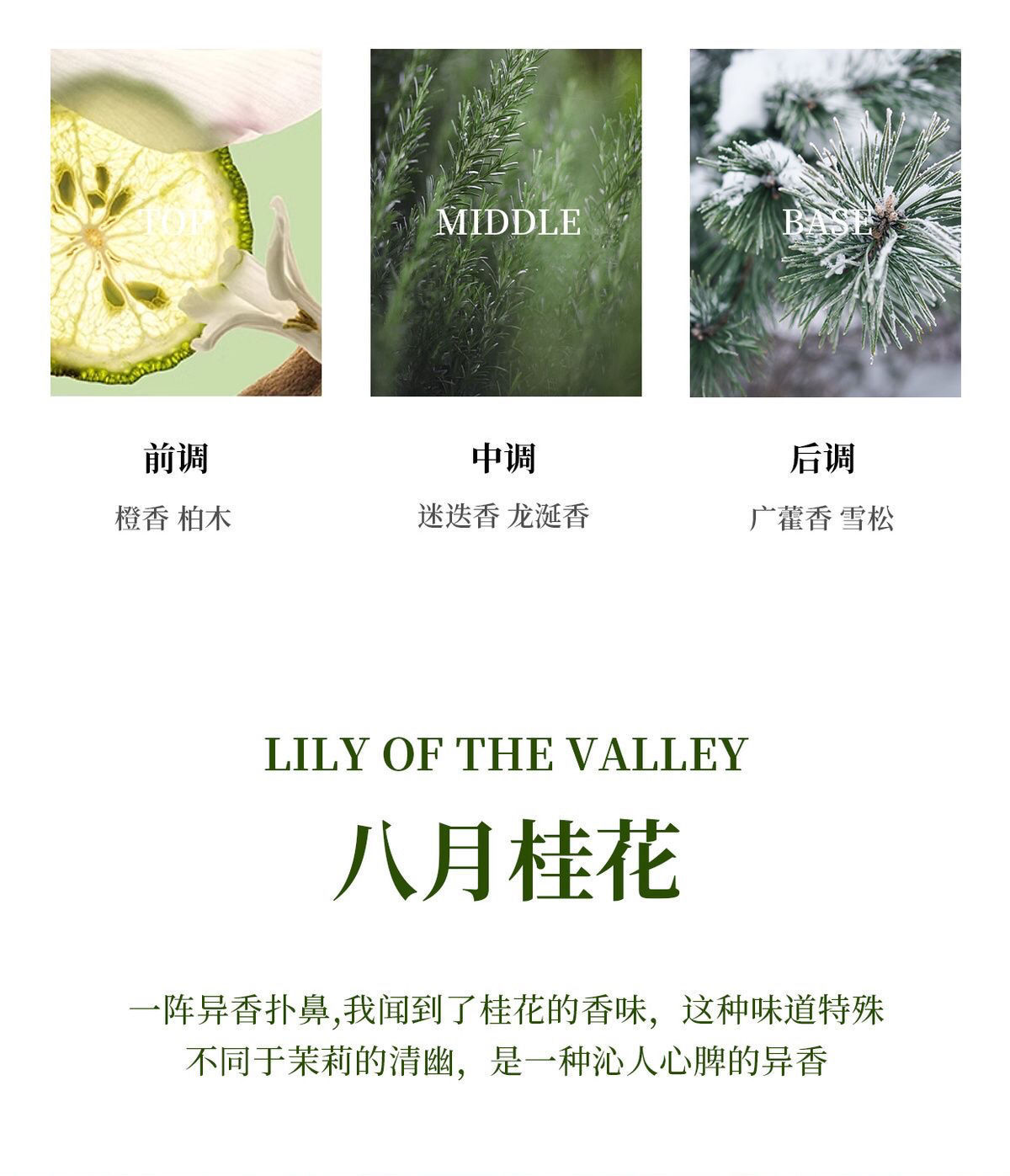 Car Perfume with Long-Lasting Fragrance, Special High-End Car Odor Removal Car Aromatherapy, Five-Star Hotel Special Fragrance
