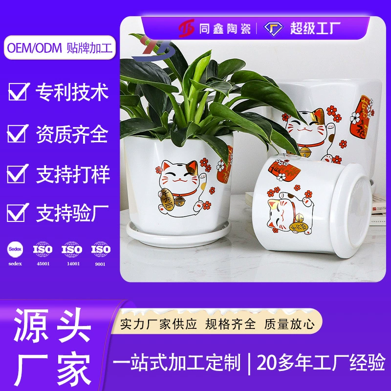 Керамический цветочный горшок для суккулентов Индивидуальный творческий Европейский Средний цветочный горшок в горшке белый фарфоровый цветочный горшок оптом