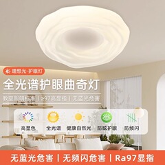 寝室ランプシーリングランプクリエイティブパーソナライズクッキーリビングルームランプダイニングルームランプ 2025 新広東中山ランプ