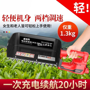 Cross-Border Commercial Brushless Electric Tea Picking Machine New Tea Picking and Pruning Machine Tea Machine Rechargeable Tea Harvesting Machine