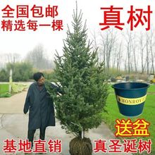 ���}�Q����������������}�Q��Ų���ɼ�������}�Q��Gֲ�����