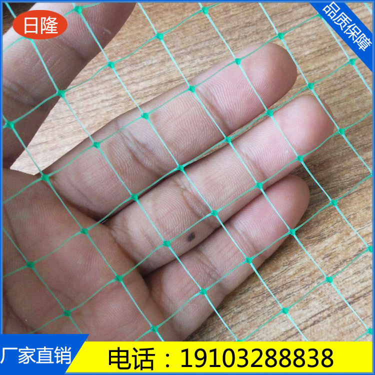 2cm 黑色 绿色 白色方孔防鸟网 拉伸网 挤出网