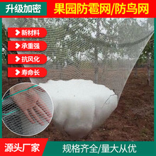 跨境防鸟网果树果园防雹网鱼塘养殖农田园艺大棚网罩尼龙网