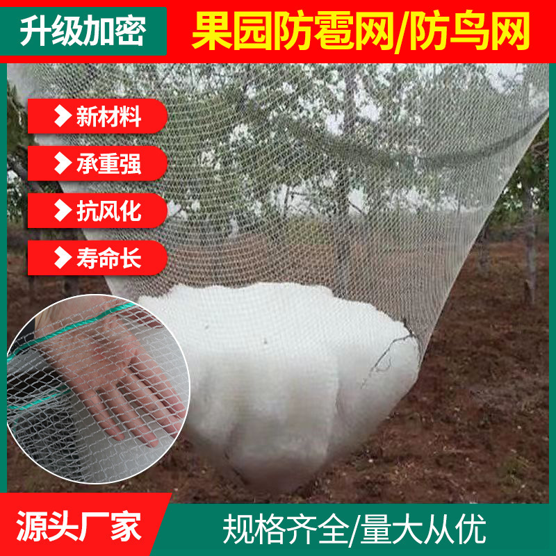 Cross-border Anti-bird Net Fruit Tree Orchard Anti-hail Net Fish Pond Farming Farmland Horticulture Greenhouse Net Cover Nylon Net Cross-border Anti-bird Net Fruit Tree Orchard Anti-hail Net Fish Pond Farming Farmland Horticulture Greenhouse Net Cover Nylon Net