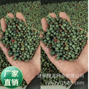 ���l�²���ľ�N�� �S�Bľ�N�� ��ľ���Sɏľ�S����ș�Ę�N��