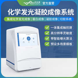 化学发光成像仪化学发光凝胶成像系统全自动凝胶电泳成像分析仪器