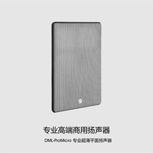 ETC DML-ProMicro 分散式平面超薄扬声器  一只
