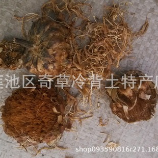 ©�J��,���^��,���^��,���l��ș�ľտ�ֲ������©�J