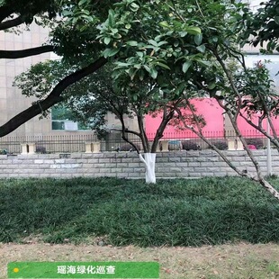 ��ľ�T�ׄ����ˢ��ˢ��۹����ɷ��x�^������������ľ��ʯ�ҷ�