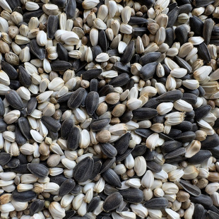 �Ϳ� �t���� ���� ����һ��� С̫� ���� ���P �W�^�B�Z