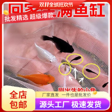 �¿�����~ ̥���~ Ƥ���~ �Ꭷ�~ ���ֺ��B�~ �����~���w���l