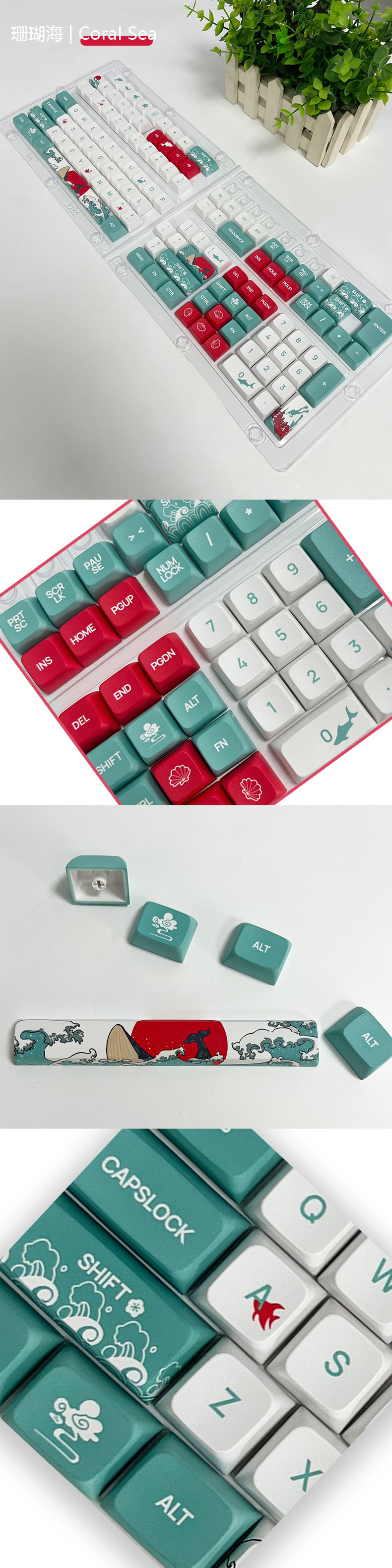 XDA珊瑚海 详情.jpg