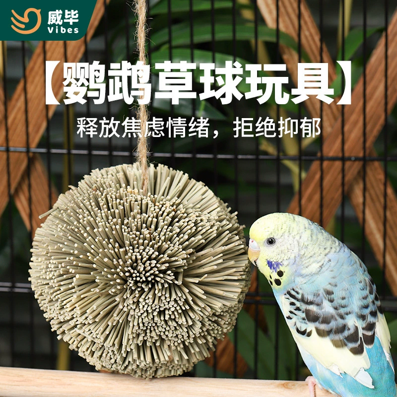 Птица попугай использует игрушку из травяного шарика из тигровой шкуры пион Сюаньфэн моляры развлечения