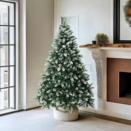 圣诞树;圣诞装饰品