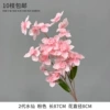 2nd generation Narcissus